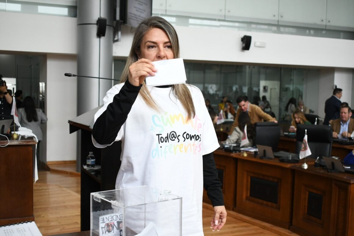 Rosana Díaz, con la firme convicción de tumbar a Estrada como coordinador de Morena