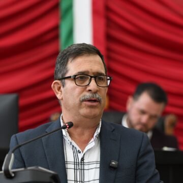 Urgen medidas para enfrentar a las plagas forestales: Congreso