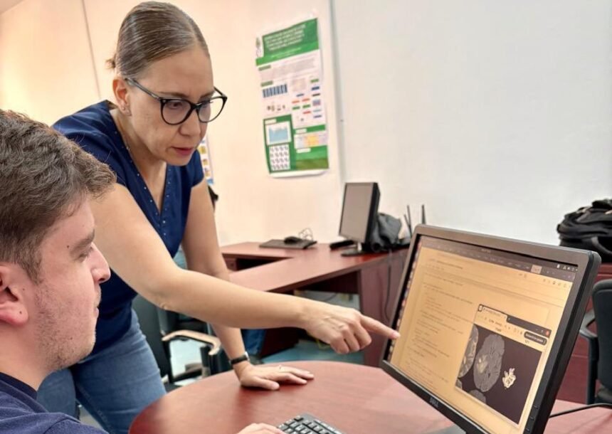 Investigadora de la UACH desarrolla sistema con IA para mejorar diagnóstico de tumores cerebrales