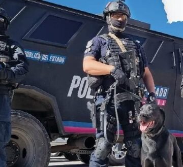 Reporta SSPE reducción de delitos en Ciudad Juárez