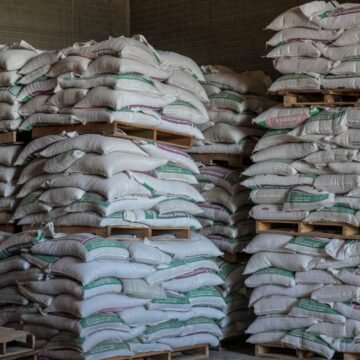 Publica SDR convocatoria para apoyo de concentrado lechero a productores