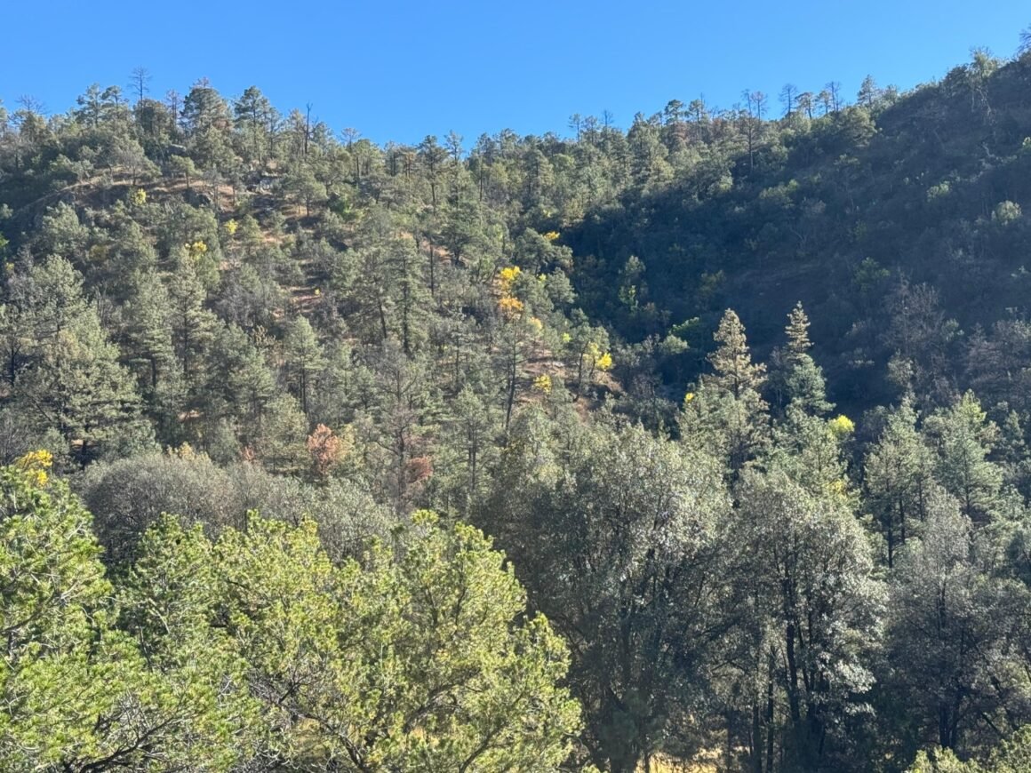 Periodo vacacional: una oportunidad para reconectar con la naturaleza