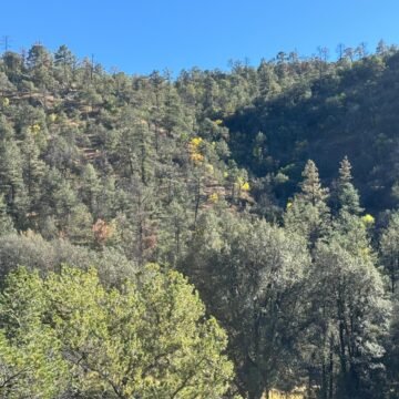 Periodo vacacional: una oportunidad para reconectar con la naturaleza