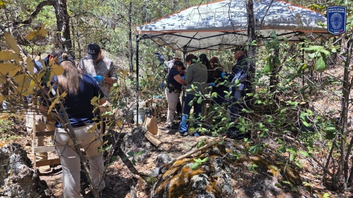 Hallan restos calcinados durante rastreo en Bocoyna