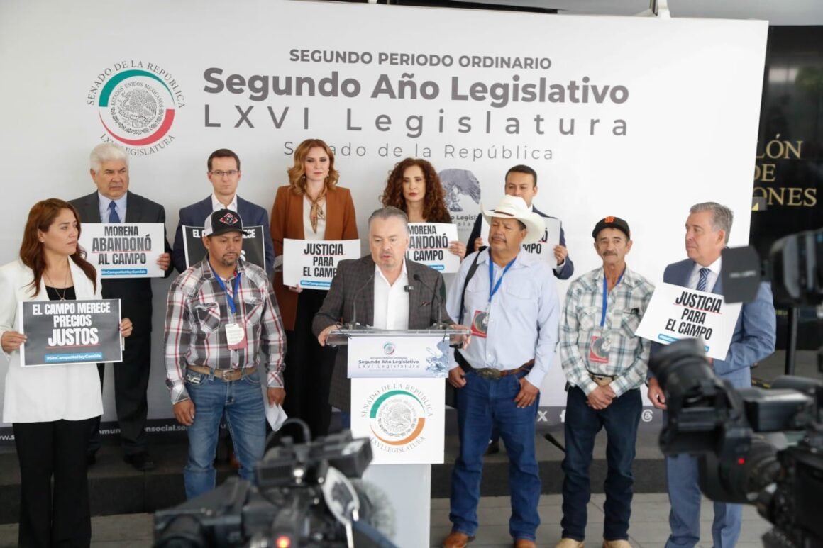 IMG-20260408-WA0036 Frijol barato en el campo, caro en la mesa: reclamo llega al Senado