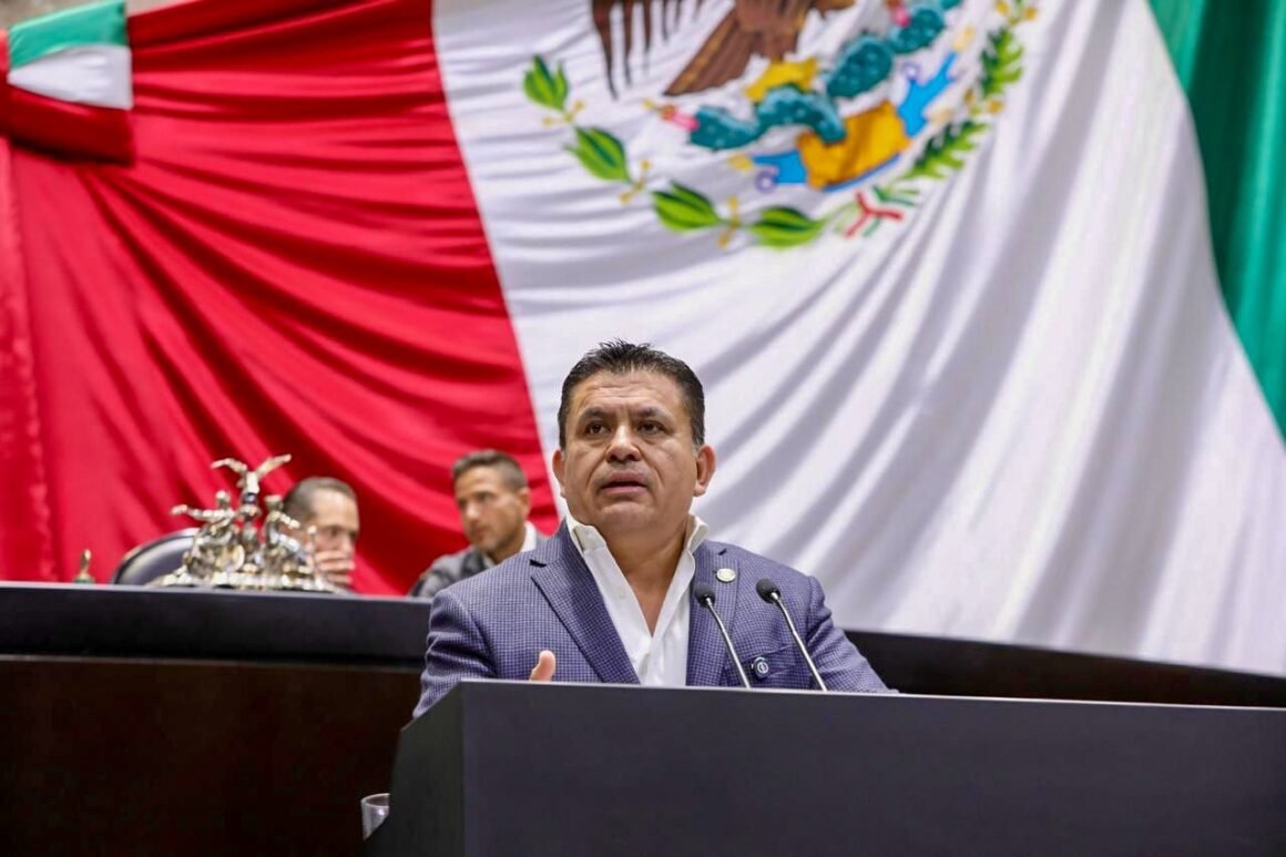 Desmantelamiento de mega narcolaboratorio representa golpe contundente al crimen organizado: PRI