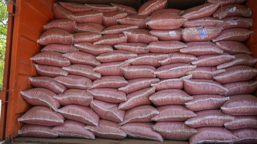 Lanza Desarrollo Rural convocatoria para apoyo en semilla de frijol