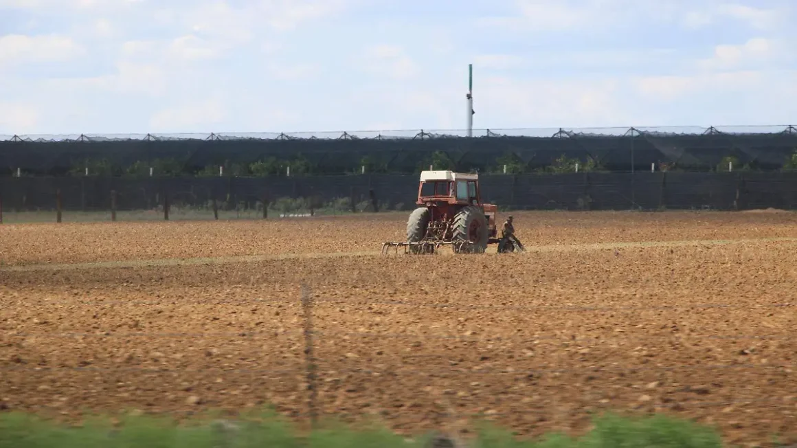 Dan prórroga al PEUA mientras productores enfrentan presión por costos de energía