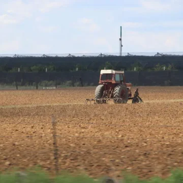 Dan prórroga al PEUA mientras productores enfrentan presión por costos de energía
