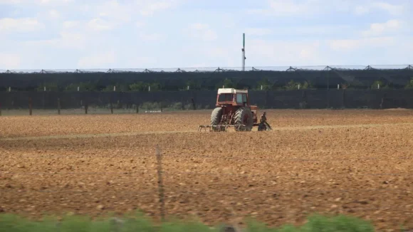 Dan prórroga al PEUA mientras productores enfrentan presión por costos de energía