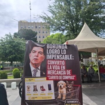 20260505_103739 “Arreglen el cochinero que hicieron”: FUBA arremete contra diputados por ley de venta de animales