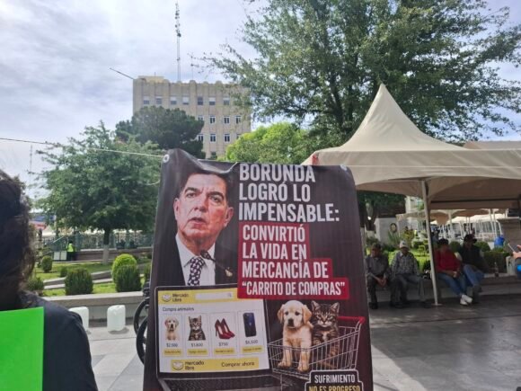 “Arreglen el cochinero que hicieron”: FUBA arremete contra diputados por ley de venta de animales