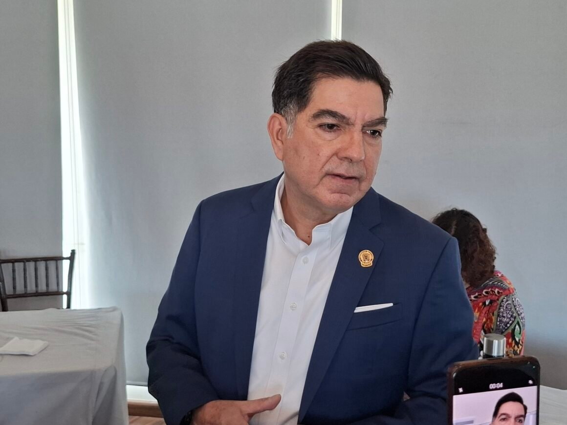 Asegura PVEM que buscan ir sin coalición para el 2027