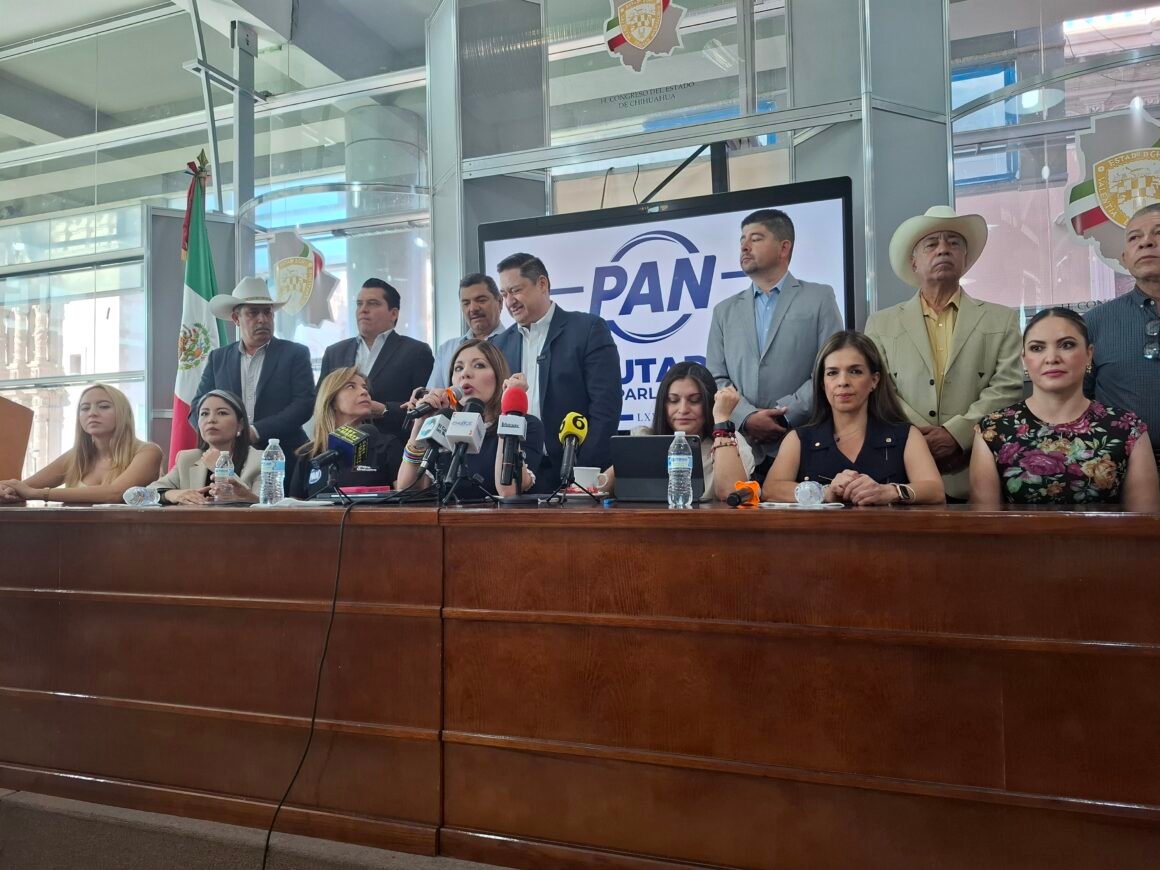 “Están cavando su propia tumba”: Daniela Álvarez a Morena por marcha y acusaciones
