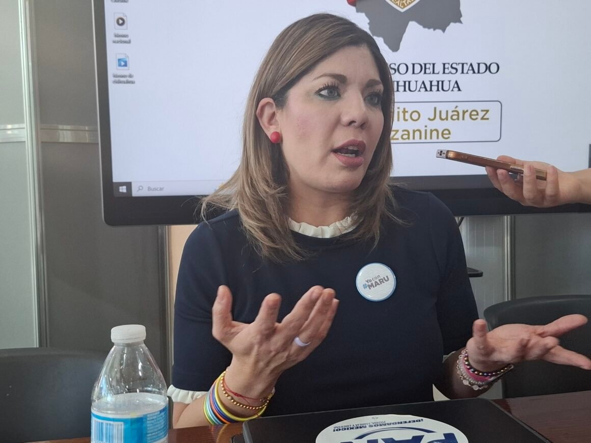 “Todas y todos los liderazgos ciudadanos son bienvenidos para ser candidatos”: Daniela Álvarez abre puerta a candidaturas para 2027