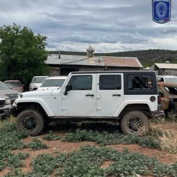 Aseguran vehículos robados, un fusil y explosivos tras reporte de hombres armados en Madera