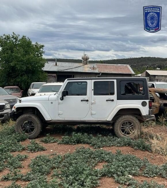 Aseguran vehículos robados, un fusil y explosivos tras reporte de hombres armados en Madera