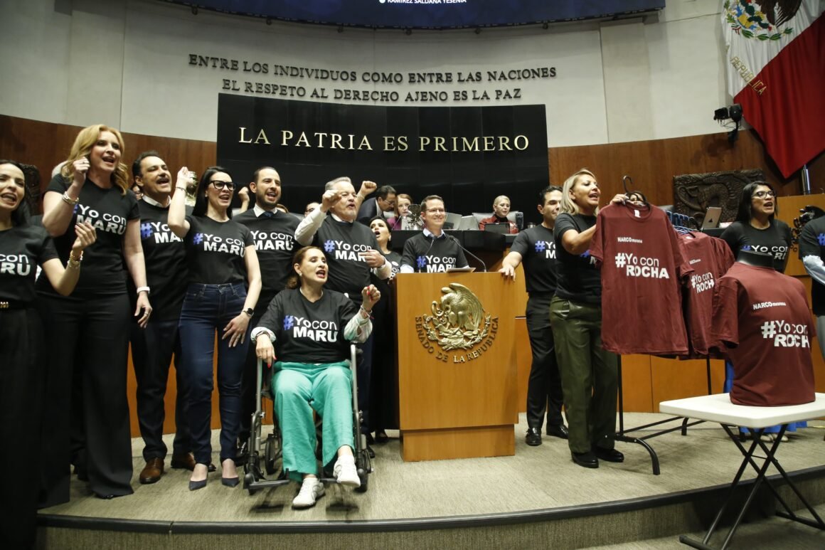 IMG-20260528-WA0135 Senadores del PAN piden a morenistas ponerse la playera #YoconRocha