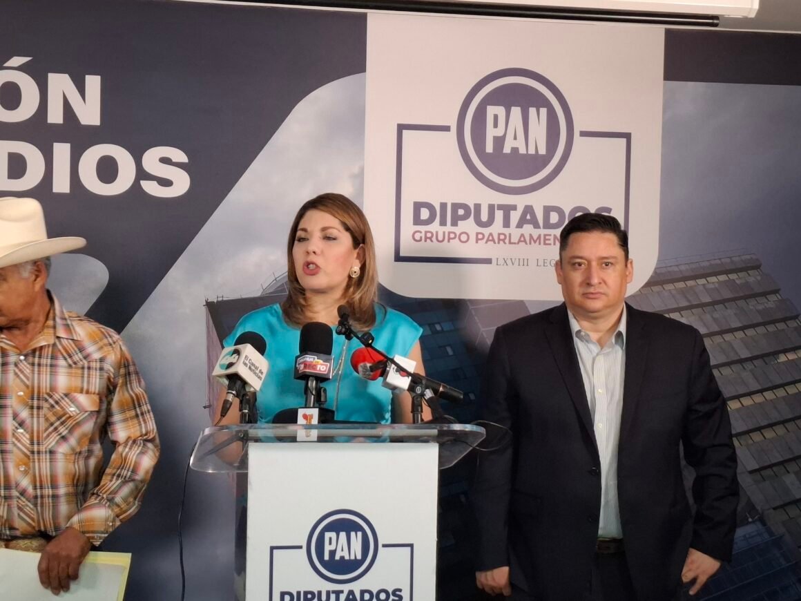 “Se anulará la elección donde exista intervención criminal”; PAN presenta reforma electoral para blindar comicios