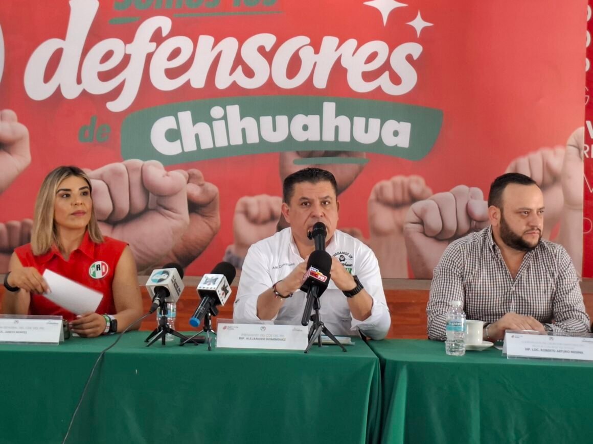 “Nosotros estamos trabajando para ir en coalición o para ir solos”: Alejandro Domínguez