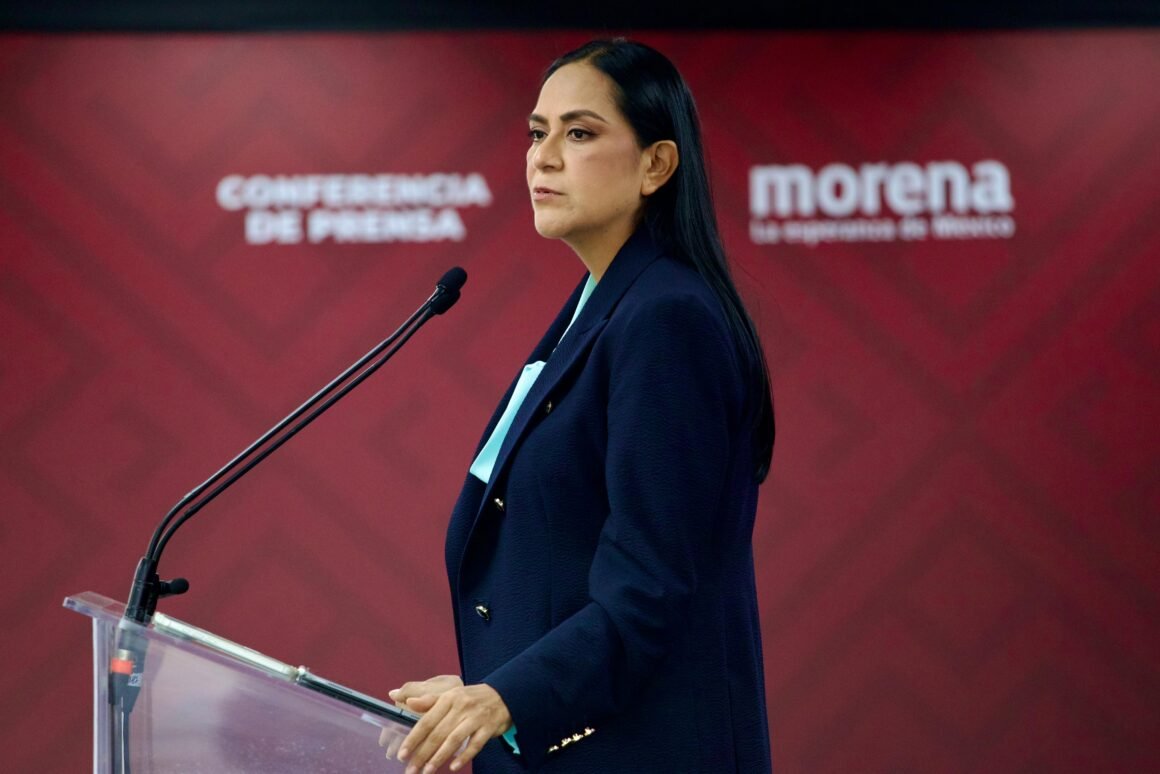 “No estamos de acuerdo cuando la ley tiene dedicatoria”: Morena sobre reforma electoral del PAN