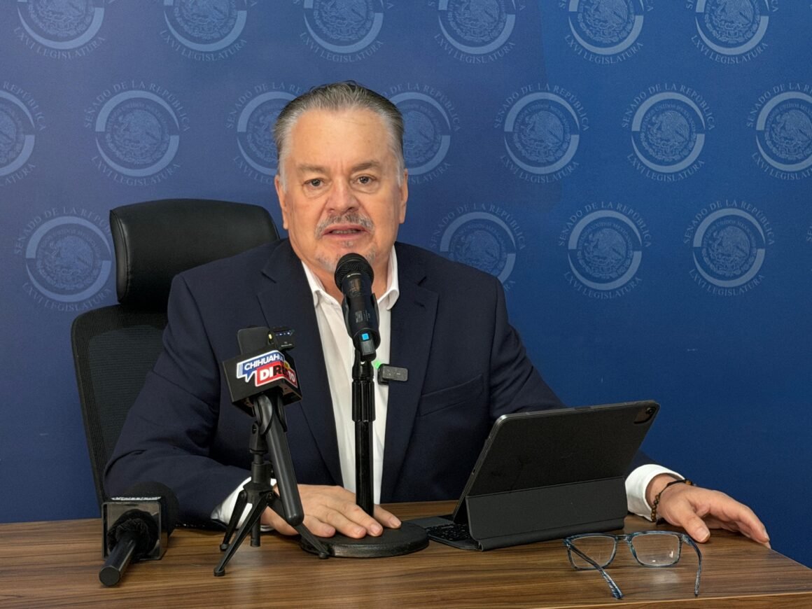 “No tiene que ver con una figura política”: Mario Vázquez rechaza que reforma electoral busque frenar a aspirantes