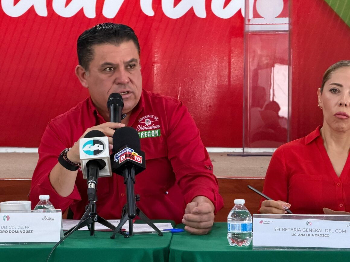 PRI ve debate jurídico, no una estrategia contra Cruz Pérez Cuéllar en reforma de paridad