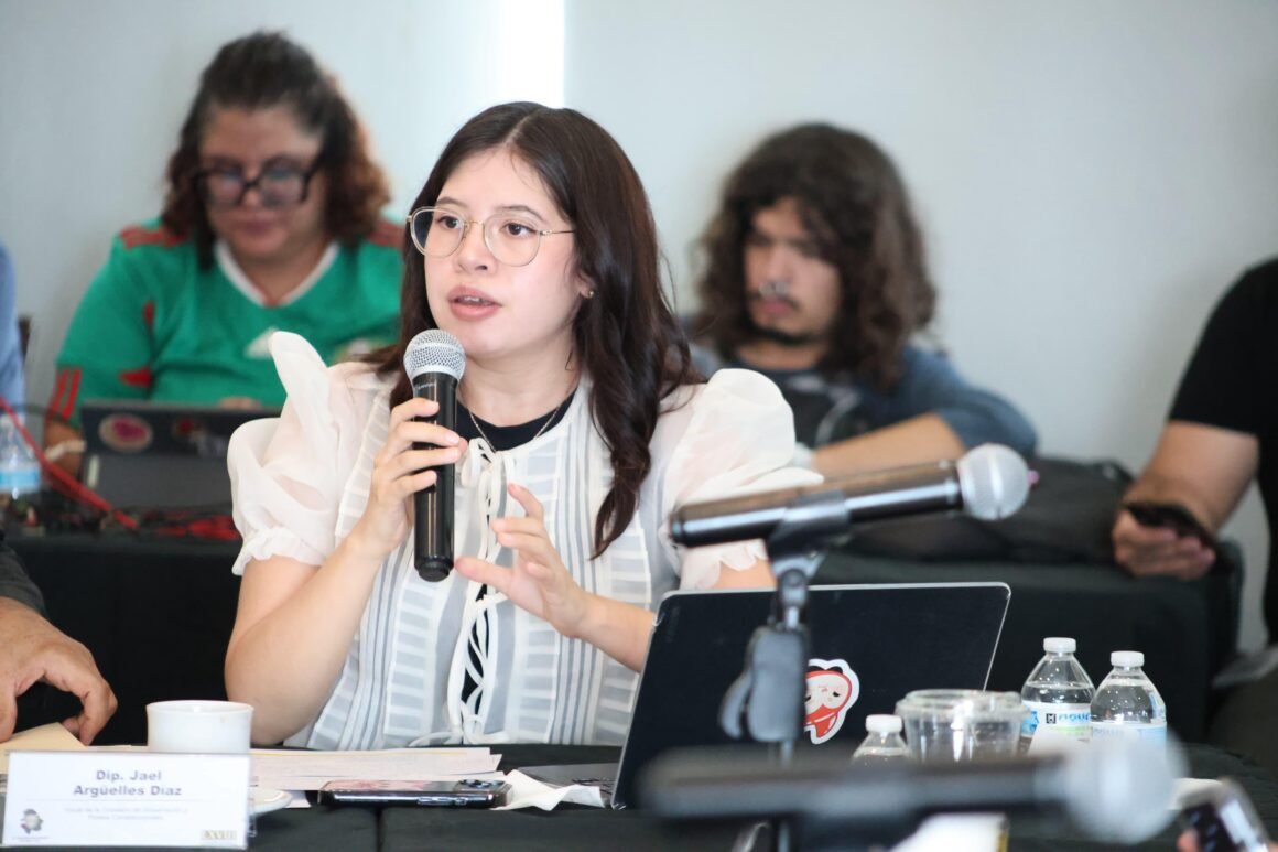 Jael Argüelles acusa que Reforma Electoral incumple la ley, excluye derechos y frena la participación ciudadana