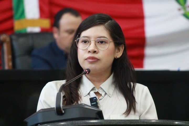 Jael Argüelles acusa que reforma electoral elimina derecho ciudadano a elegir regidores