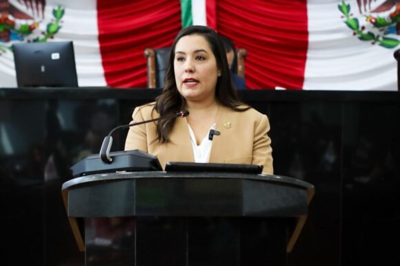 Joceline Vega niega que reforma abra la puerta a la venta discrecional de bienes del Estado