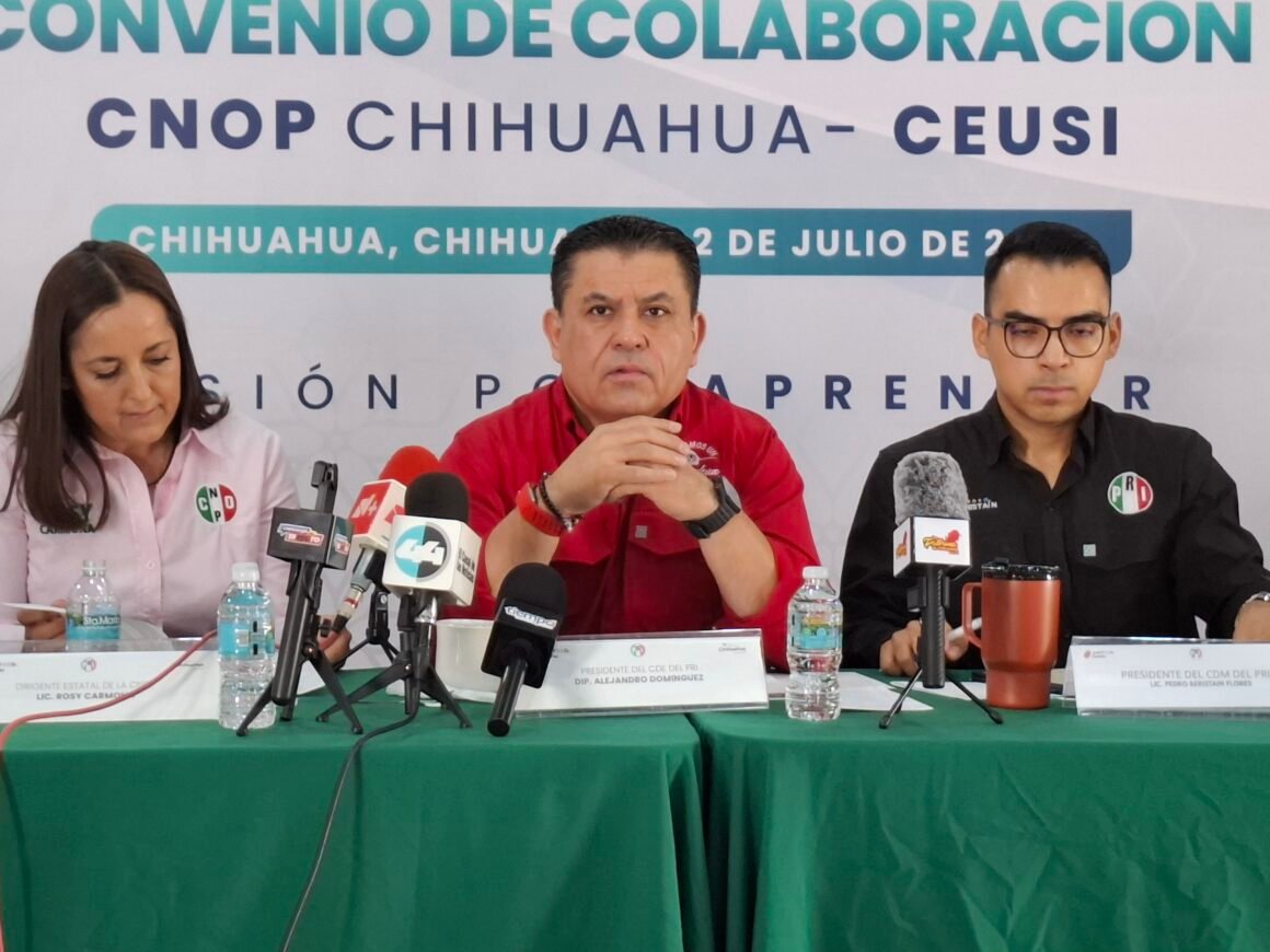 “No se puede llegar a una mesa de alianza con candidaturas definidas”: Alejandro Domínguez descarta acuerdos con el PAN por ahora