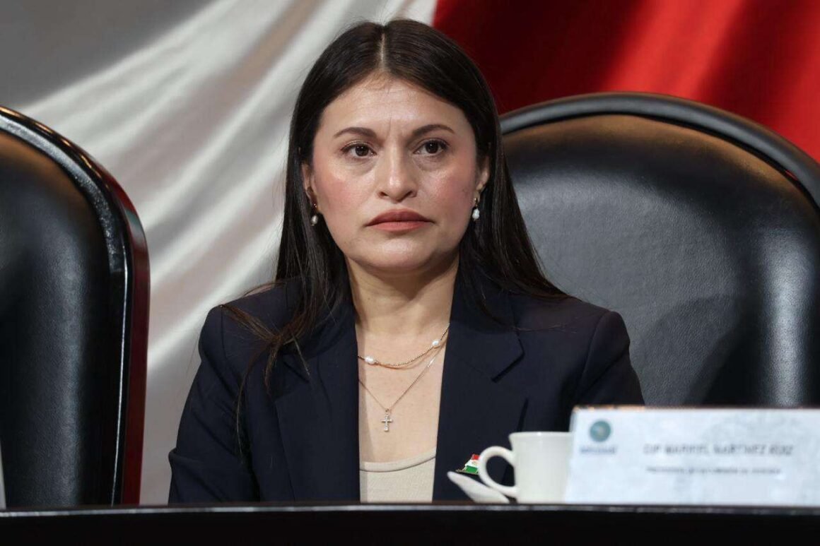 “Muchos lo han hecho, incluso el PRI”: Rocío González sobre promoción en espectaculares