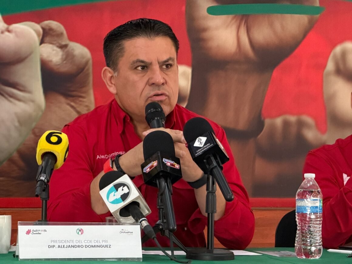 Desmiente Alex Domínguez presunta alianza política con Marco Bonilla para 2027