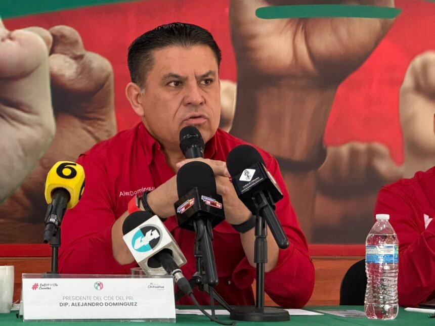 Desmiente Alex Domínguez presunta alianza política con Marco Bonilla para 2027
