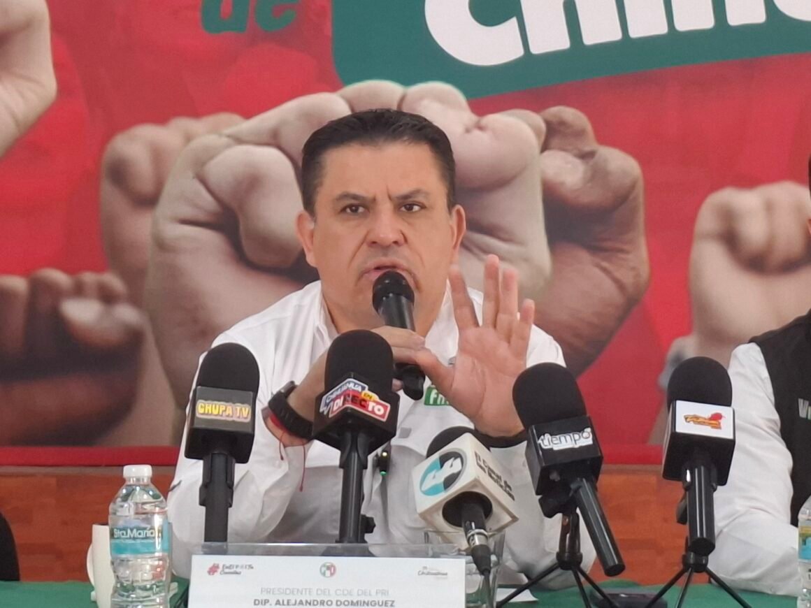 “Los partidos de oposición que vayan solos van a tratar de rascarse votos”, advierte Alejandro Domínguez