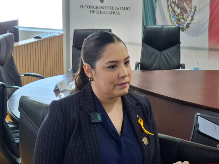 La Torre Centinela no es un fracaso: Joss Vega
