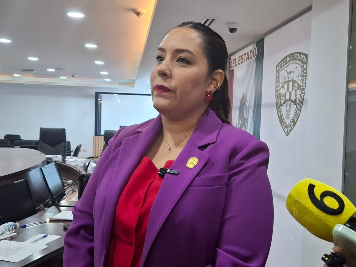 “No podemos dejar que ser hermano de Andrea Chávez sea un tema de protección”: Joss Vega