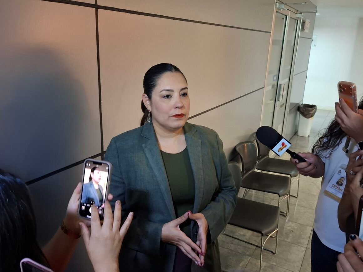 “El solo hecho de que haya esta reunión pudiera ser el punto de arranque”, señala Joss Vega por reunion Maru-Sheinbaum