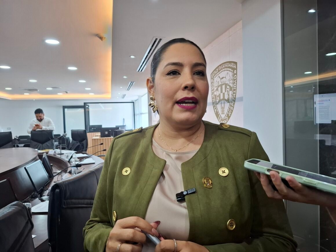 Joceline Vega responde a señalamientos sobre hermano de Santiago de la Peña