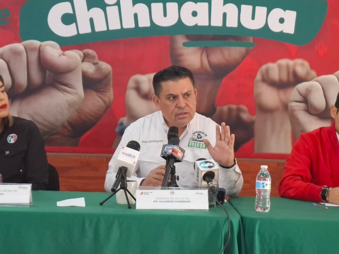 “Habría que preguntarles a los aliados”: PRI deja en manos del PT posible candidatura de Andrea Chávez