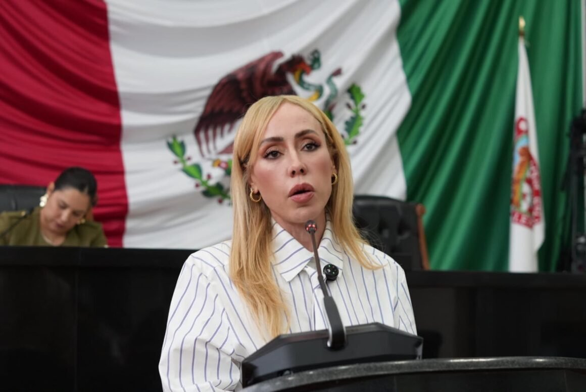 Brenda Ríos logra votación a favor de descuentos de impuestos para negocios afectados por obras en El Reliz, Tecnológico y Fuerza Aérea