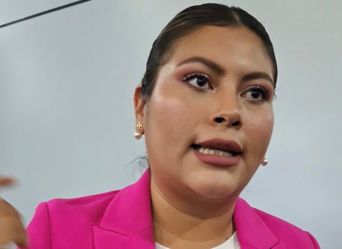 “No hay que esperar a que se mate una mujer”: Irlanda Márquez
