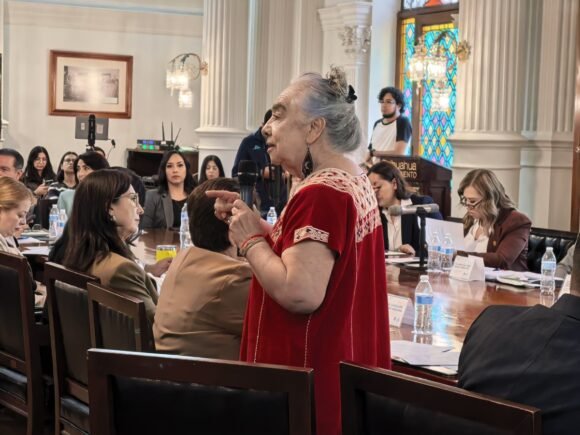 Elena Rojo defiende voto sobre calle Bustamante