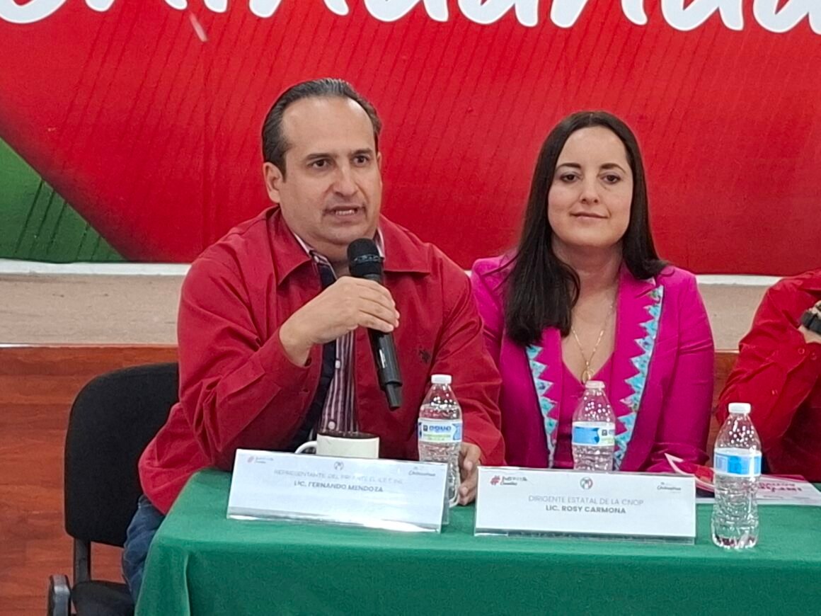 20261015_082646 Van todos los partidos contra el IEE por lineamientos de paridad de género: PRI