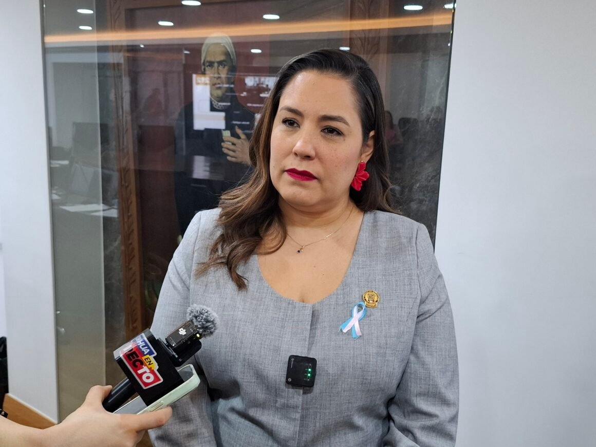 Joss Vega descarta ruptura en el PAN por caso Jáuregui